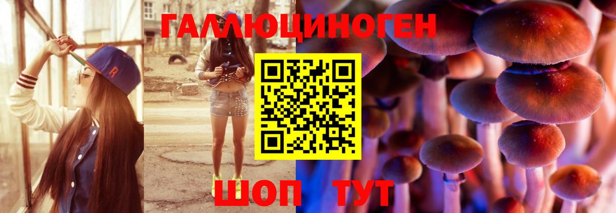 Карасук  Псилоцибиновые грибы мицелий  Вход с VPN 