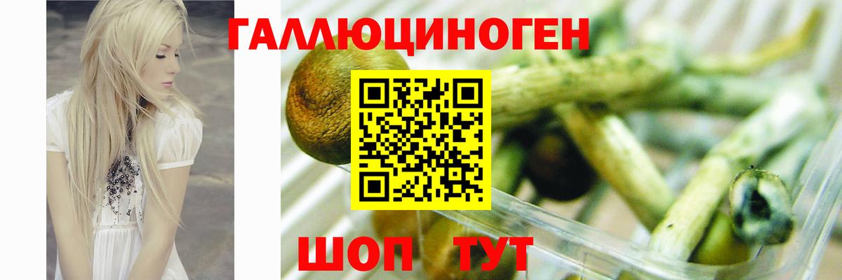 Галлюциногенные грибы ЛСД Карасук