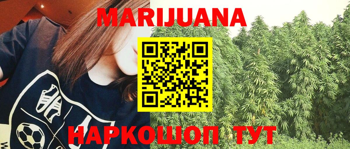 Шишки марихуана планчик Карасук